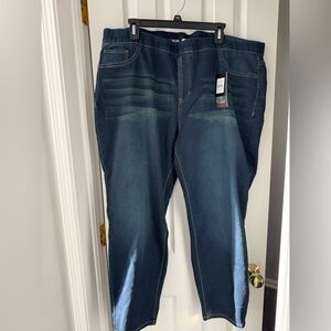 Avenue Denim High Rise Jegging